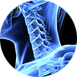 At Orthopedic Associates, we specialize in treatment of the neck